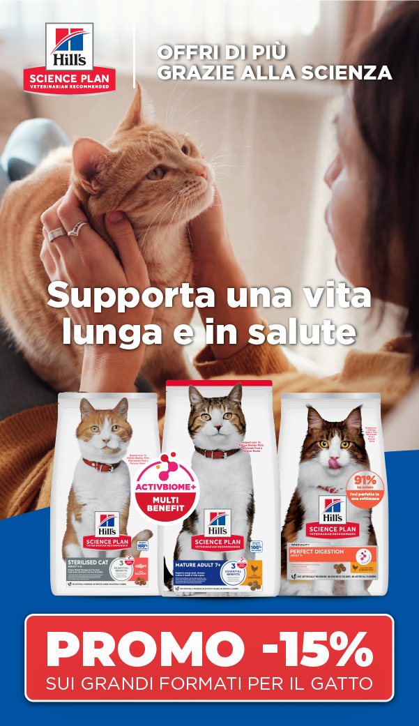 Gatto